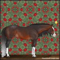 Horse Color:Bay Splash 