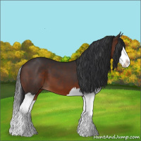 Horse Color:Brown Splash 