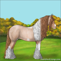 Horse Color:Red Roan Pearl Tobiano Frame 