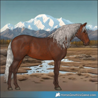Horse Color:Silver Brown 