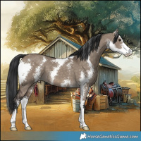 Horse Color:Brown Dun Sabino 