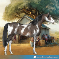 Horse Color:Brown Dun Sabino 