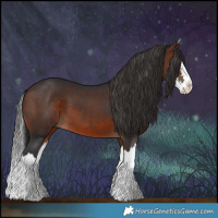 Horse Color:Brown Splash 