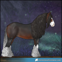 Horse Color:Brown Splash