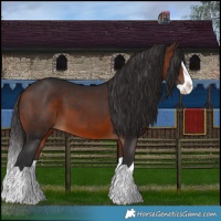 Horse Color:Brown Splash 
