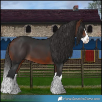 Horse Color:Brown Splash