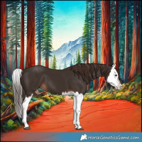 Horse Color:Liver Chestnut Splash 