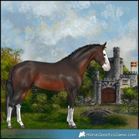 Horse Color:Brown Splash 