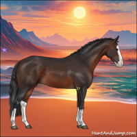 Horse Color:Brown Splash 