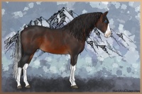 Horse Color:Brown Splash 
