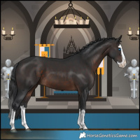 Horse Color:Brown Splash