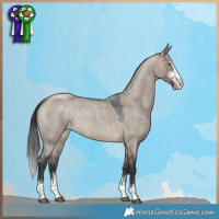 Horse Color:Brown Roan Dun Sabino