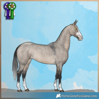Horse Color:Brown Roan Dun Sabino 