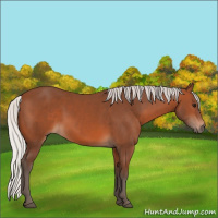 Horse Color:Silver Brown 