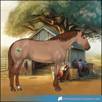 Horse Color:Red Dun 