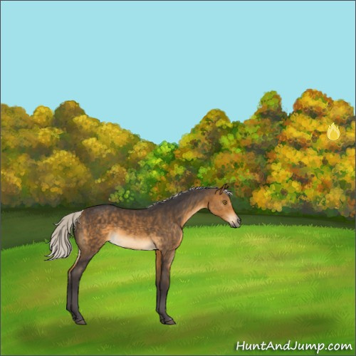 Horse Color:Silver Buckskin Sabino Rabicano 