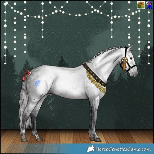 Horse Color:Gray White Spotted Black Tobiano  and Brown Splash Tobiano 