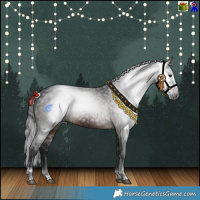 Horse Color:Gray White Spotted Black Tobiano  and Brown Splash Tobiano 