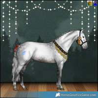 Horse Color:Gray White Spotted Black Tobiano  and Brown Splash Tobiano 