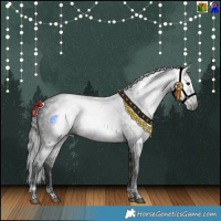 Horse Color:Gray White Spotted Black Tobiano  and Brown Splash Tobiano 