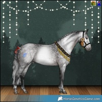 Horse Color:Gray White Spotted Black Tobiano  and Brown Splash Tobiano