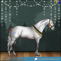 Horse Color:Gray White Spotted Black Tobiano  and Brown Splash Tobiano 