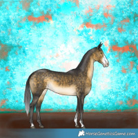 Horse Color:Buckskin Sabino Rabicano 