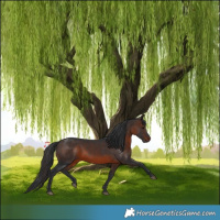 Horse Color:Brown 