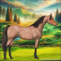 Horse Color:Bay Roan 