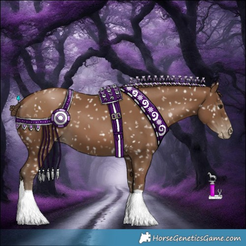 Horse Color:Gray Black Pearl Appaloosa 