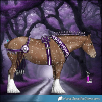 Horse Color:Gray Black Pearl Appaloosa 