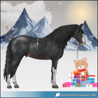 Horse Color:Brown Splash Tobiano