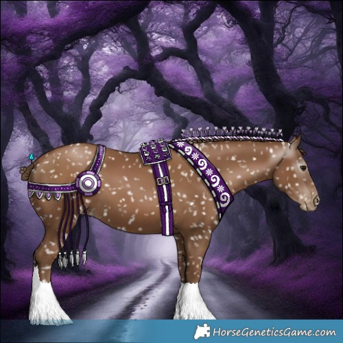 Horse Color:Gray Black Pearl Appaloosa 