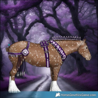 Horse Color:Gray Black Pearl Appaloosa 