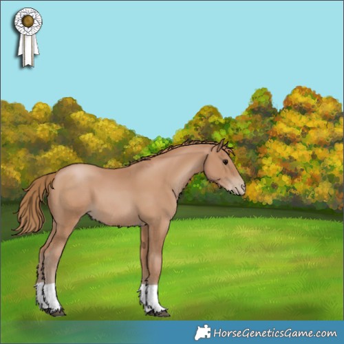 Horse Color:Black Pearl 