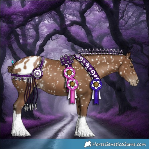 Horse Color:Gray Black Pearl Appaloosa 