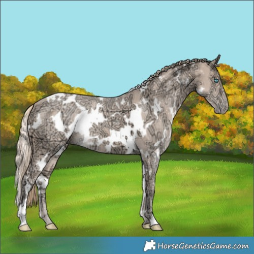 Horse Color:White Spotted Perlino Ice 