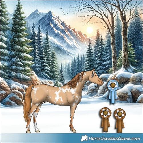 Horse Color:White Spotted Red Dun 