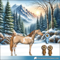 Horse Color:White Spotted Red Dun 