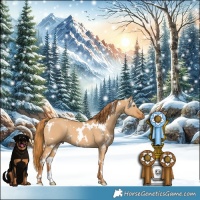 Horse Color:White Spotted Red Dun