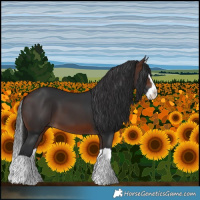 Horse Color:Brown Splash