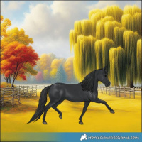 Horse Color:Black 