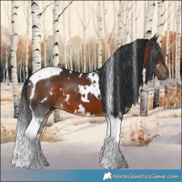 Horse Color:White Spotted Brown Tobiano 
