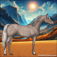 Horse Color:Silver Blue Roan Sabino 