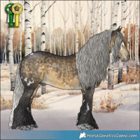 Horse Color:White Spotted Silver Buckskin 