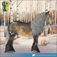 Horse Color:White Spotted Silver Buckskin