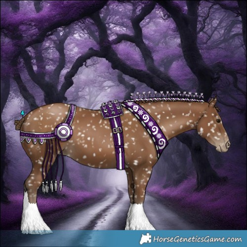 Horse Color:Gray Black Pearl Appaloosa 