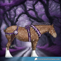 Horse Color:Gray Black Pearl Appaloosa 