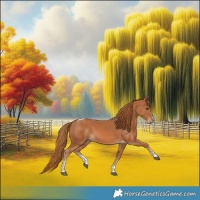 Horse Color:Chestnut Tobiano