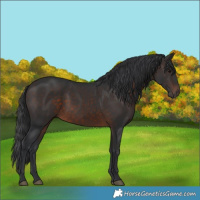 Horse Color:Brown 